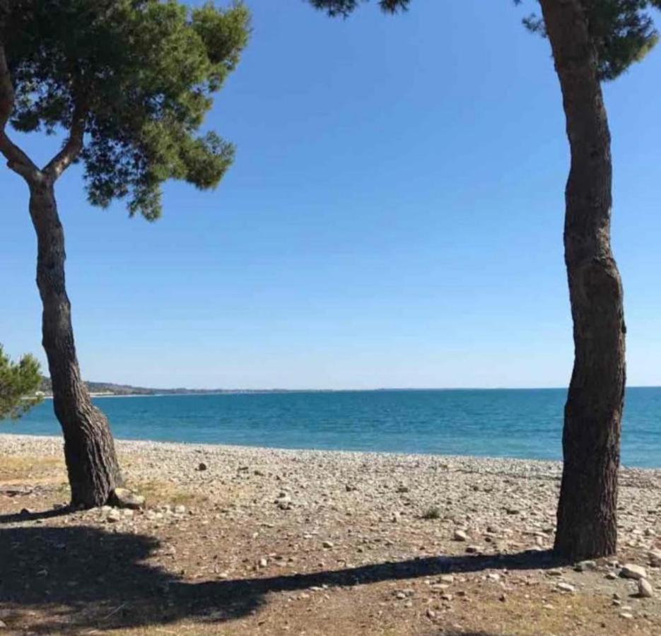 La Casa Al Mare Corallo Verde Montegiordano Exteriör bild
